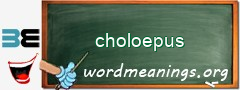 WordMeaning blackboard for choloepus